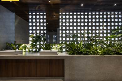 Ngôi nhà của ánh sáng và không gian xanh